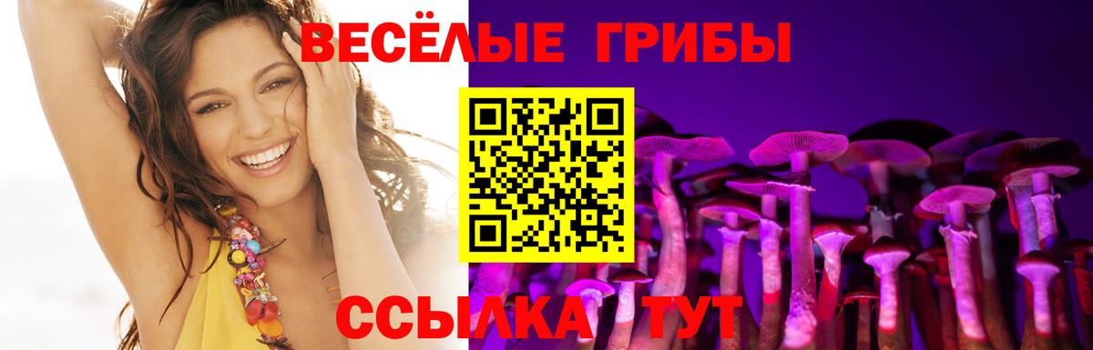 Верхняя Салда  как найти   Галлюциногенные грибы Psilocybe  Вход с VPN  Псилоцибиновые грибы Psilocybe 